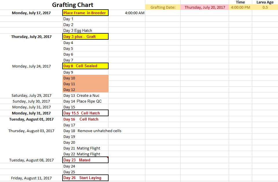 Printable Queen Grafting Chart