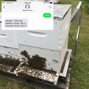 Remote hive setup with example of SMS text. 