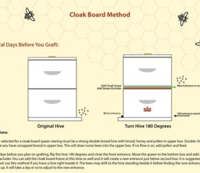 Cloak Board Featured