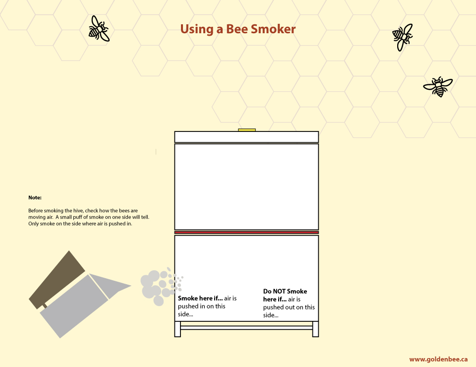 Using-a-Bee-Smoker