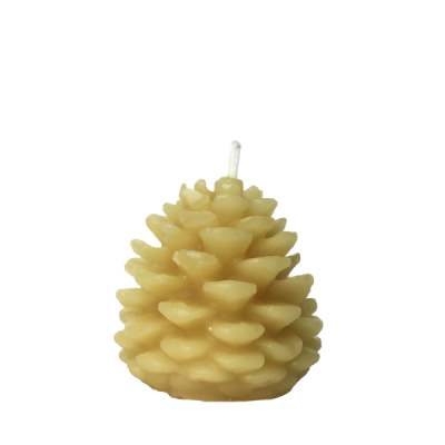 small-pinecone